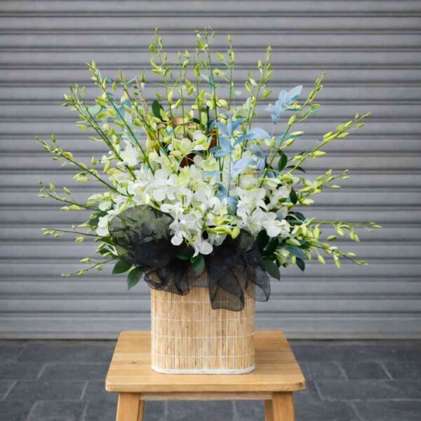 giỏ hoa lan trắng chia buồn thiết kế tinh tế đặt trên ghế gỗ nền xám