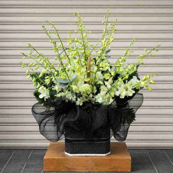 Hộp hoa chia buồn 902 với lan trắng sang trọng, thiết kế trang nhã thể hiện sự tiếc thương và chia sẻ sâu sắc trong tang lễ