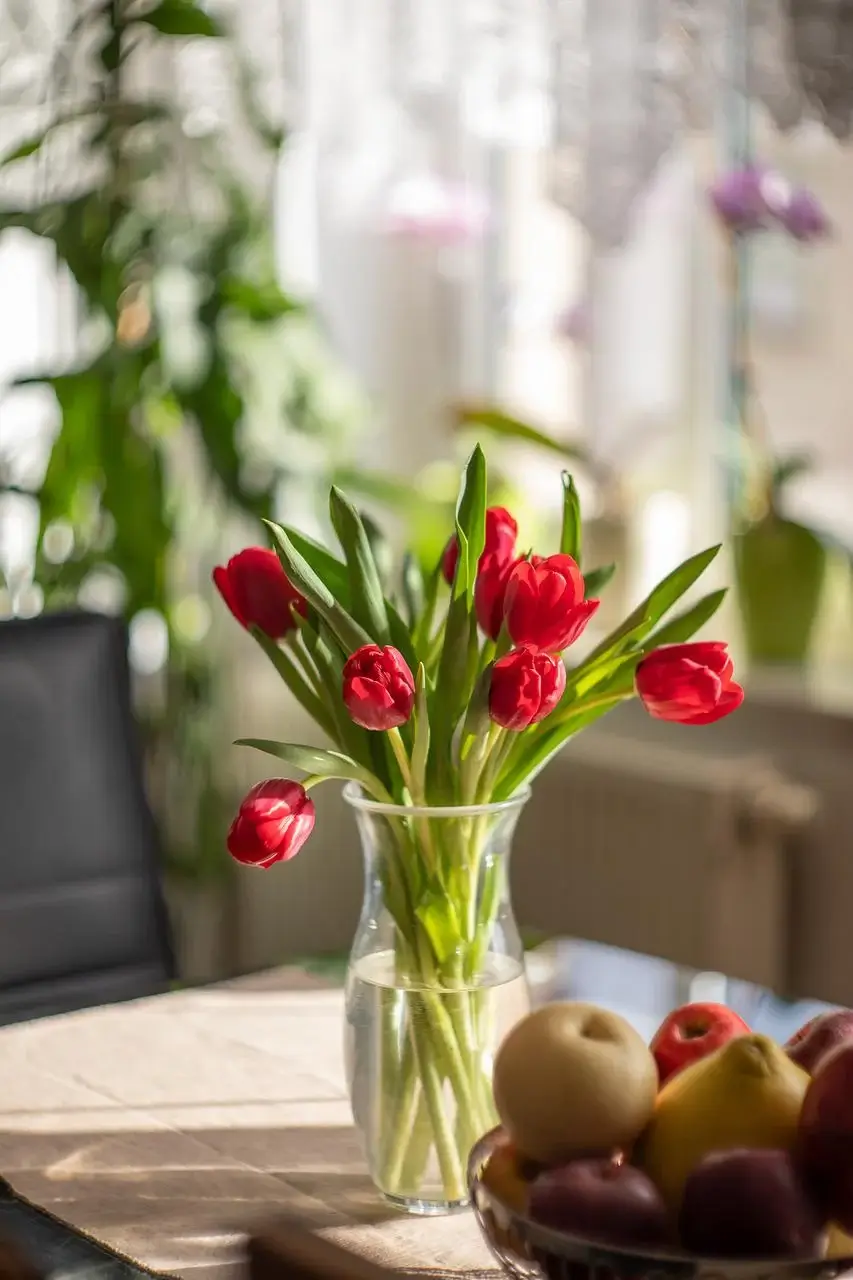 cam-hoa-tulip-trong-binh