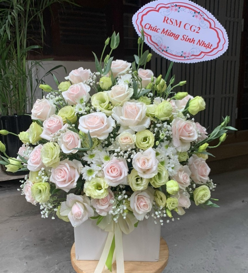 Shop Hoa Ti G Vp - Mu p 2026 - Giao Hoa Nhanh 1H Shop Hoa Ti G Vp - Mu p 2026 - Giao Hoa Nhanh 1H