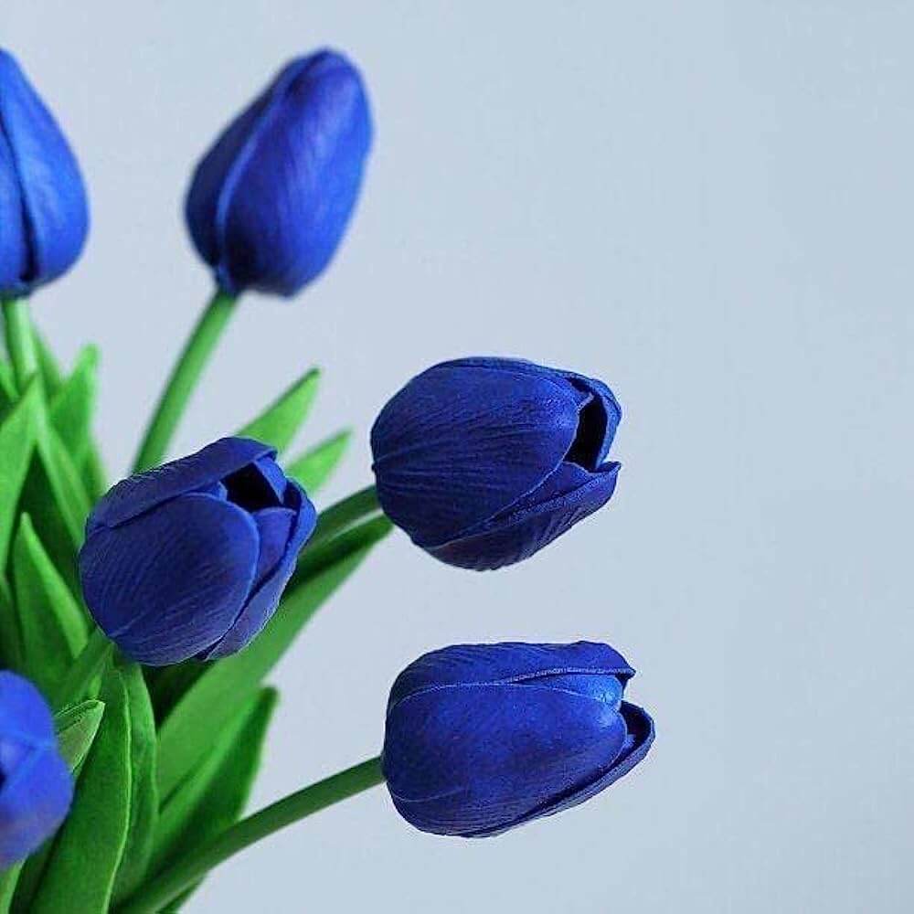y-nghia-hoa-tulip-xanh-duong