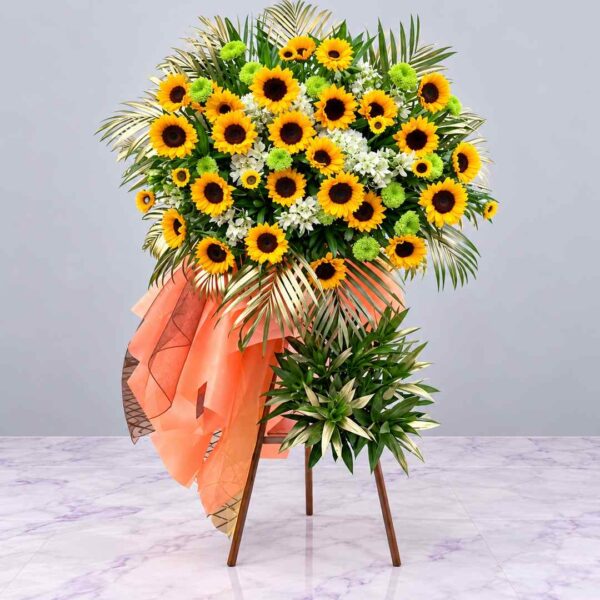 Kệ Hoa Dương Sắc Thành Công với hoa hướng dương vàng, hoa phụ trắng và giấy gói cam