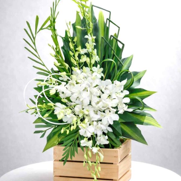 ẵng hoa chia buồn lan Thái trắng tinh khôi đặt trên bàn tròn nền xám nhạt