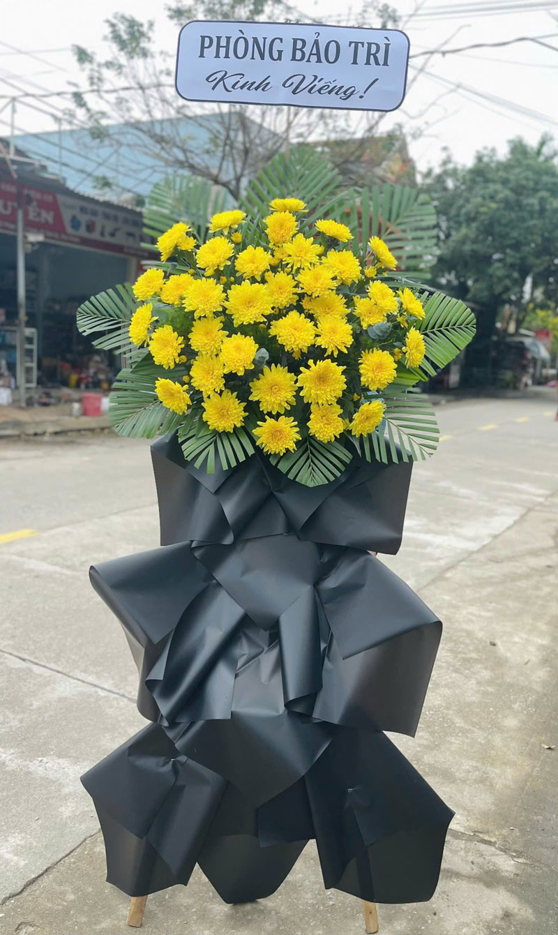 028f9eb1bac3359d6cd2