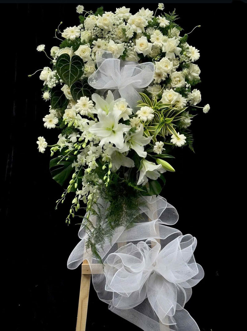 2731607708509634481-(1)