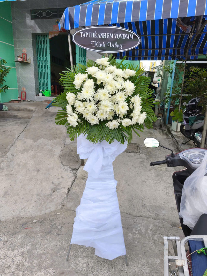 2731607708509634481-(25)