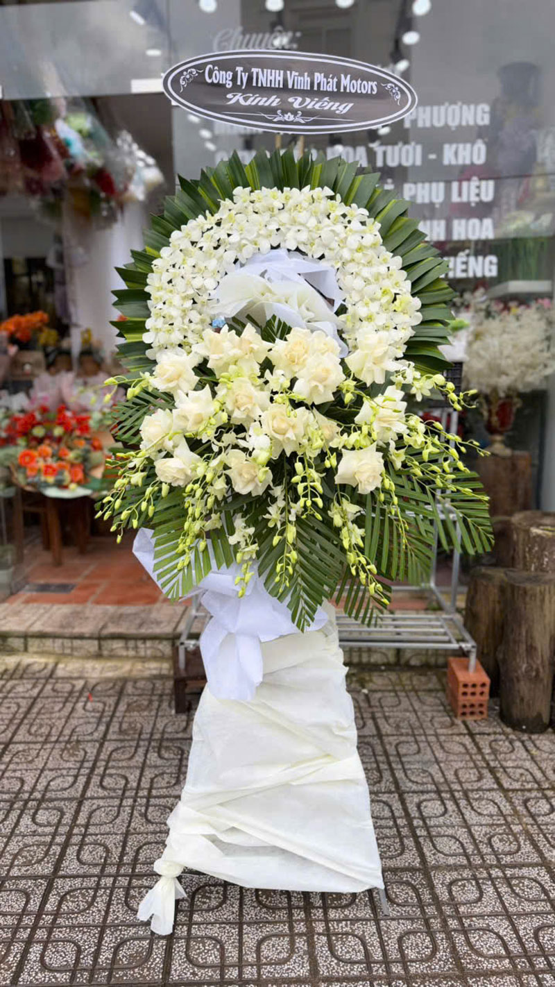 2731607708509634481-(28)