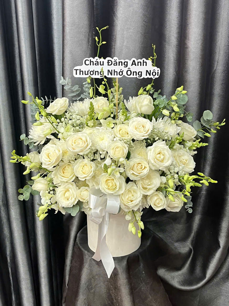 3080874070314409448-(10)