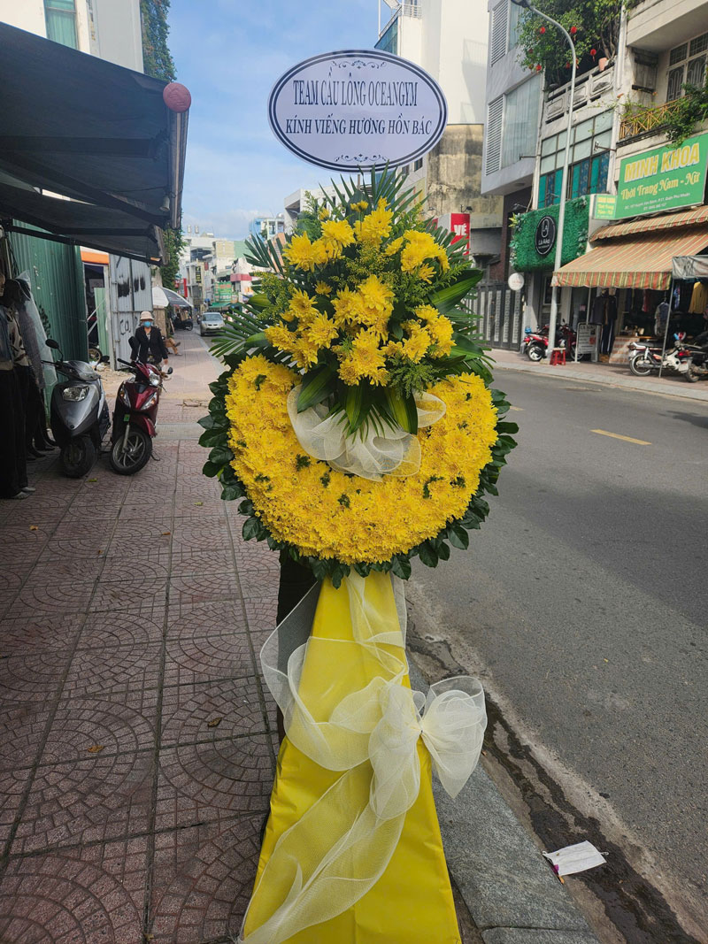 3080874070314409448-(11)