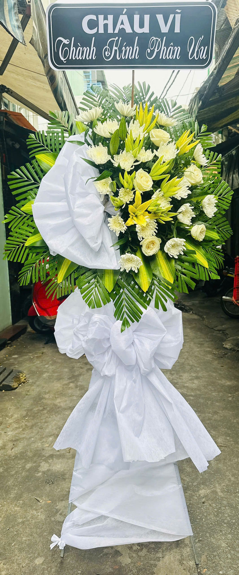 3080874070314409448-(13)