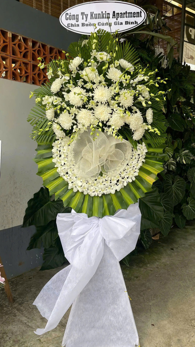 3080874070314409448-(2)