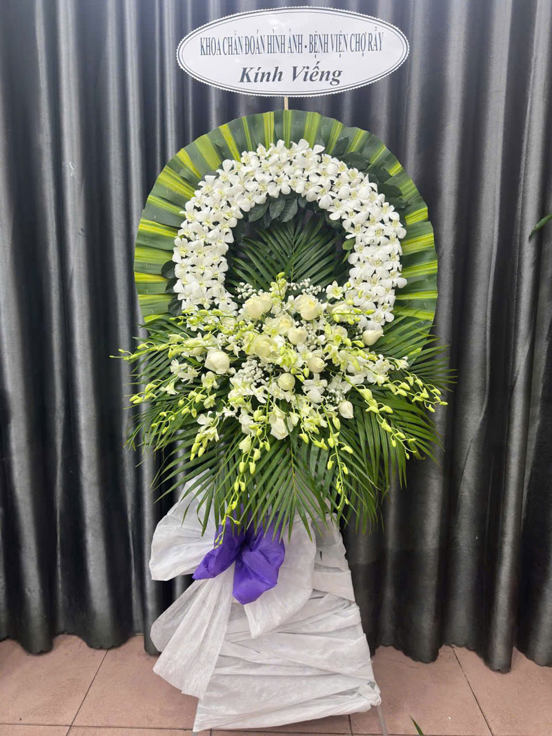 3080874070314409448-(8)