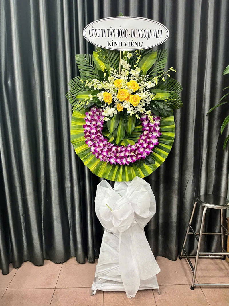 3080874070314409448-(9)