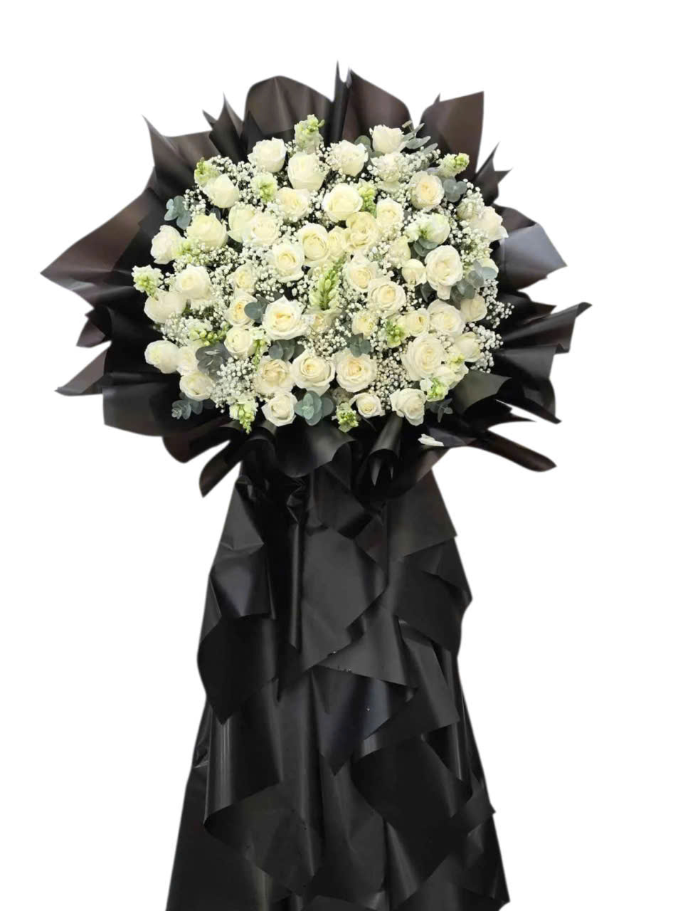 z7323138463913_c27856354565cae252f79fd288fd8021