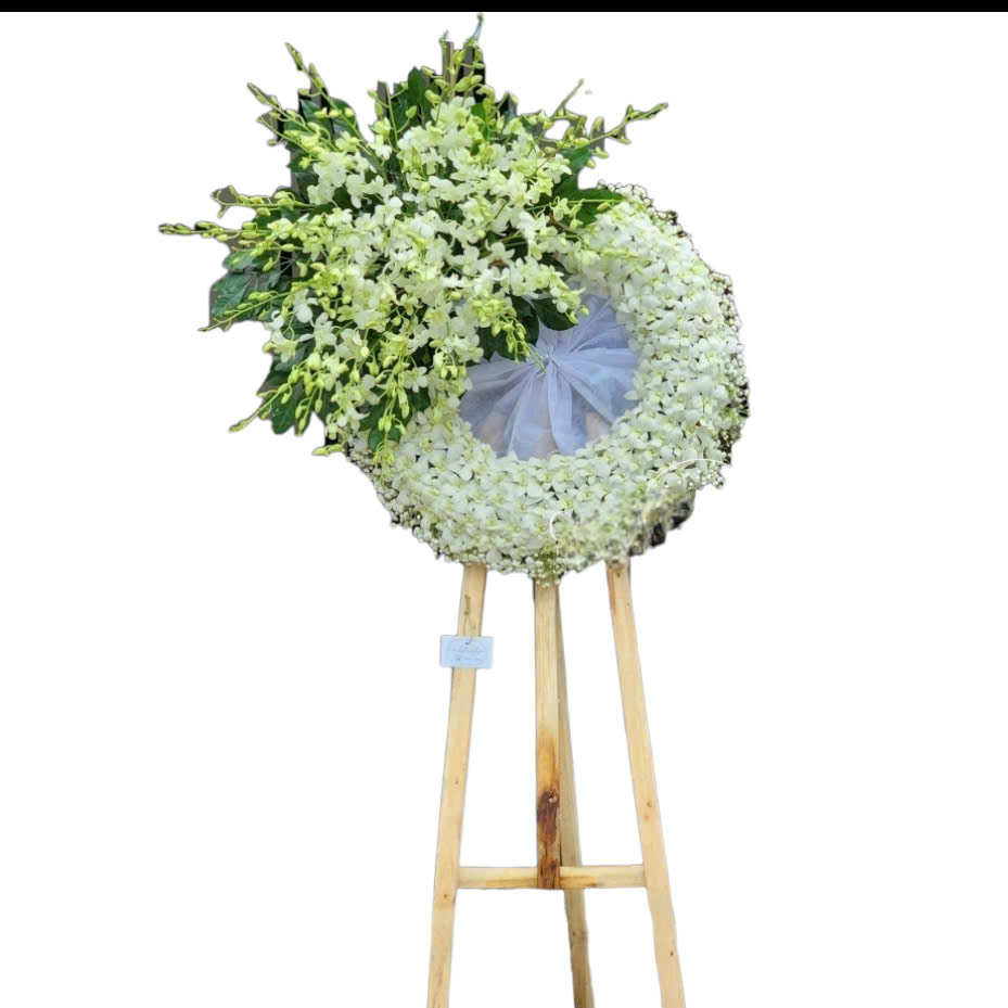 z7323138656885_6a02f104c61eb86a2930d49d15b09101