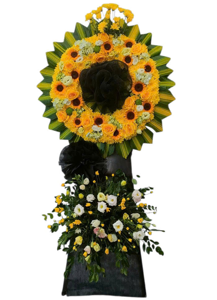 z7323138703349_c1d71e154dd4315cb03fc9ac9a62077b