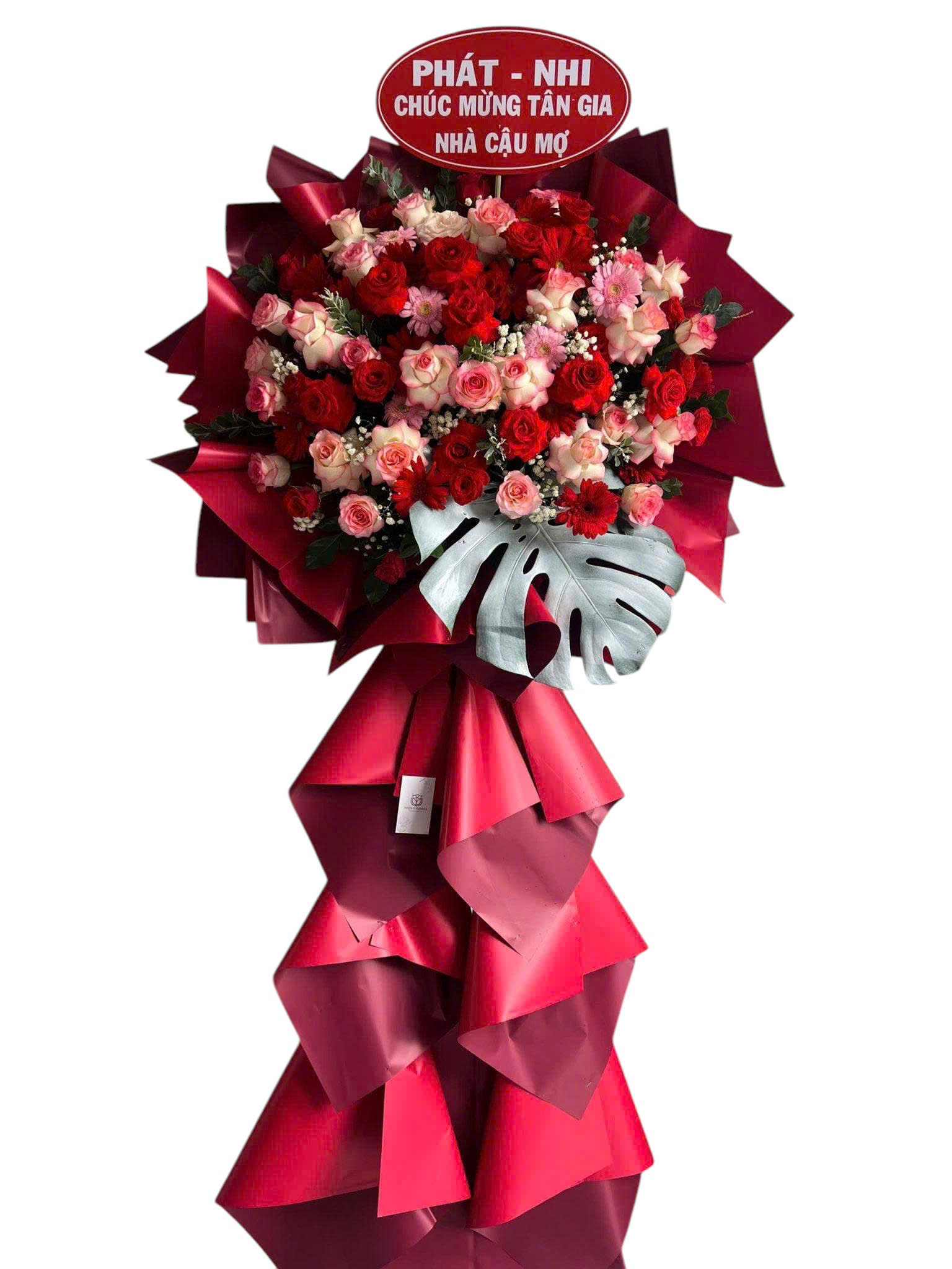 z7323582064832_6312f186ebd9fcc2ec40e586b921a29b