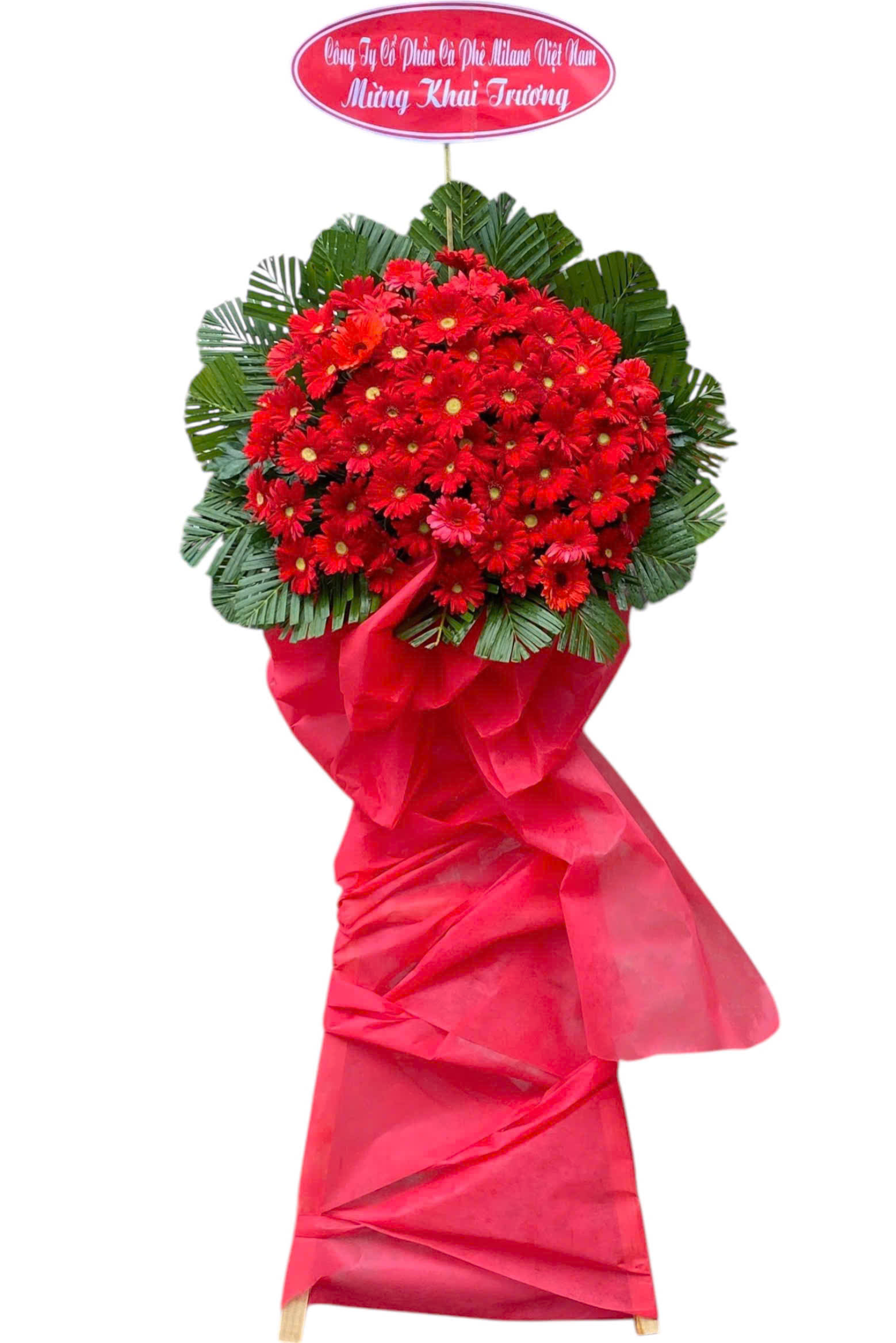 z7323582142696_208bbb62bd9df2db958c7903e1fe9731