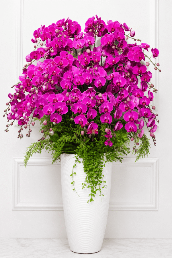 Chậu hồ điệp 35 cành